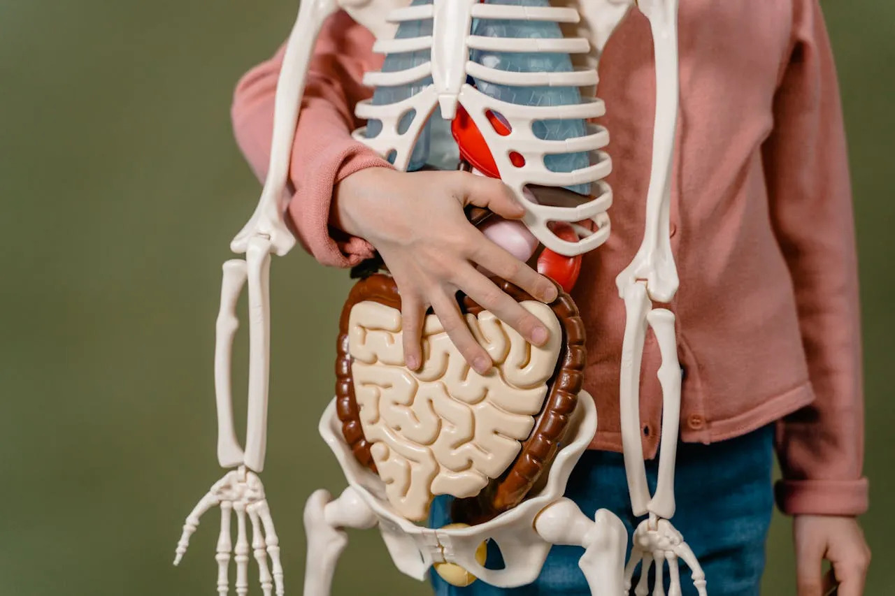 Chiropractor performing a spinal adjustment on a patient's upper back in a clean, modern clinic setting.